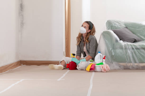 Reliable Mold Cleanup contractor in Augusta, KY by WQB Mold Removal